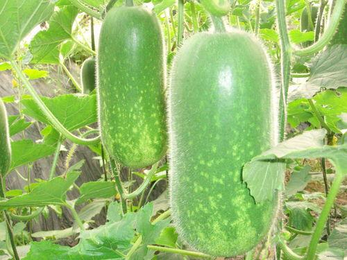 忆潼吃瓜,揭秘娱乐圈那些不为人知的幕后故事