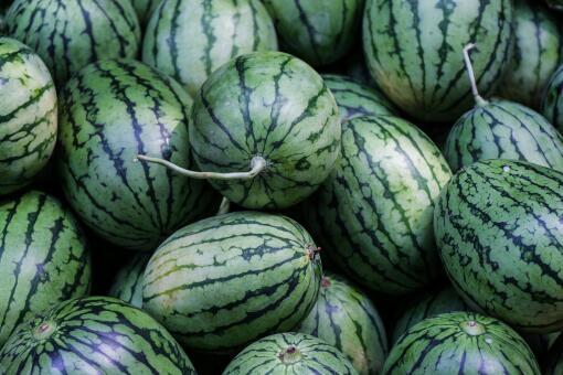 2 1吃瓜,揭秘娱乐圈的甜蜜与苦涩