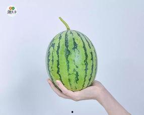 吃瓜群会被查吗,吃瓜群背后的法律风险与监管动向