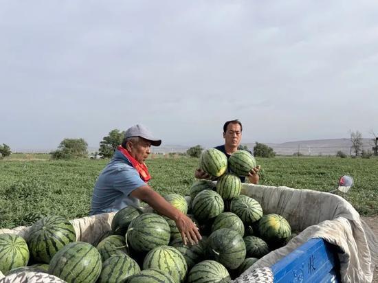 万年吃瓜,吃瓜群众见证历史变迁