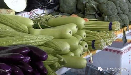 怎样吃瓜不苦,如何轻松享受美味瓜果，告别苦涩口感