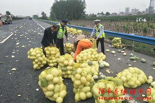 城固吃瓜群众,揭秘当地生活百态