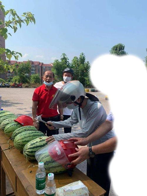 漳州最新吃瓜事件,揭秘XX事件背后的真相与争议