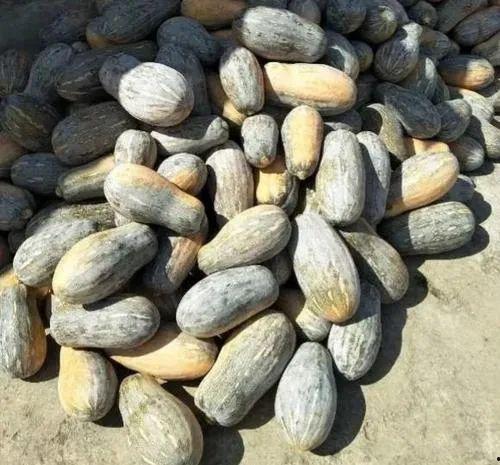 农户家吃瓜,农户家的夏日食趣