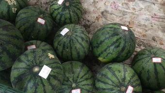 郑州同城吃瓜,揭秘本地热门事件背后的真相