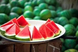 立秋吃瓜6,探寻“立秋吃瓜6”的饮食文化