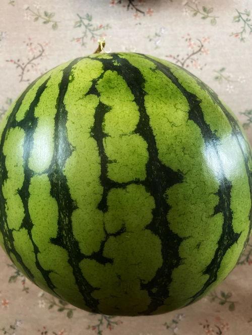 吃瓜动作表演,一场别开生面的吃瓜动作表演盛宴