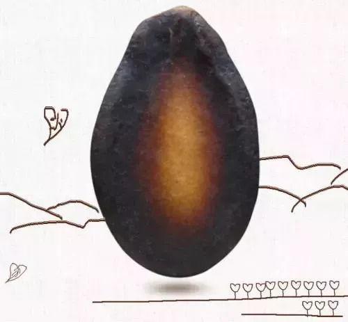 吃瓜不吐籽会发芽,瓜果重生之谜