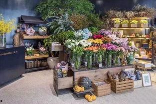 花店吃瓜爆料,揭秘花店界的幕后故事与惊人爆料