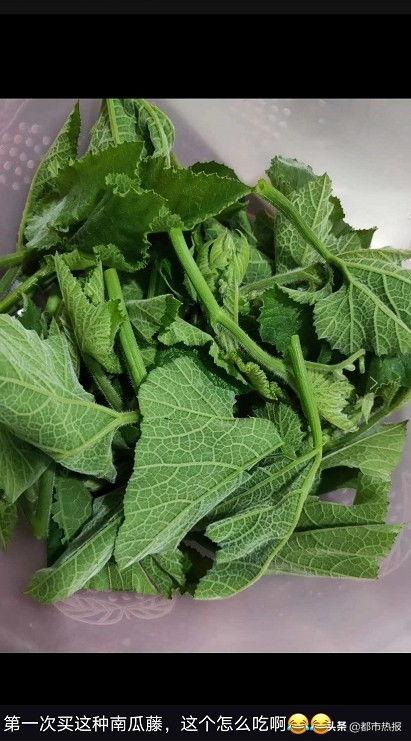 瓜叶怎么样吃,解锁清新口感的多重吃法